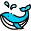 Top 5 whale scenarios